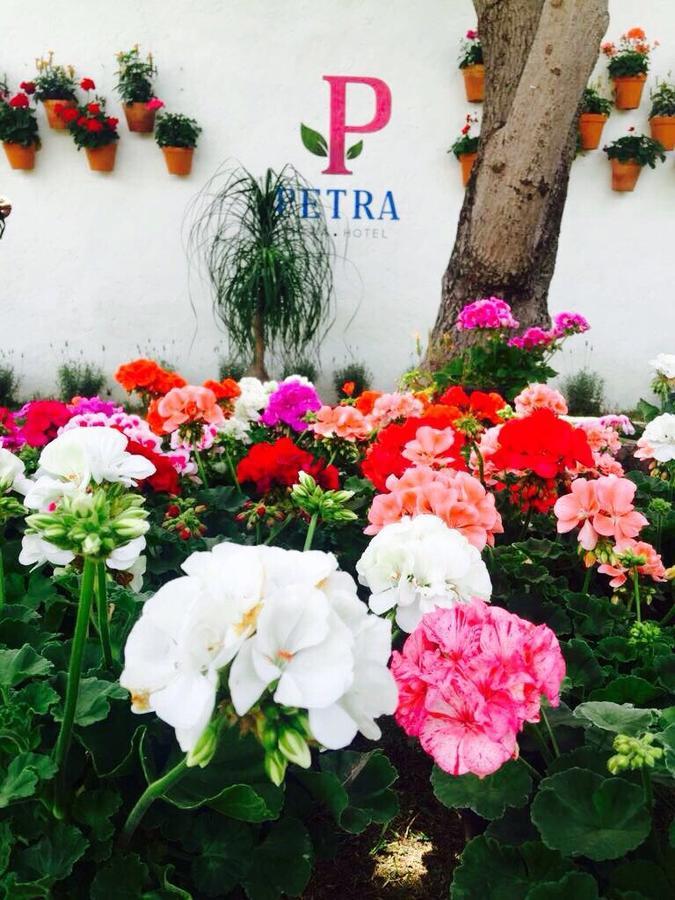 Hotel Petra San Miguel de Allende Eksteriør billede