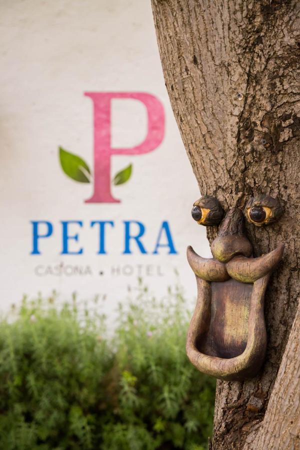 Hotel Petra San Miguel de Allende Eksteriør billede